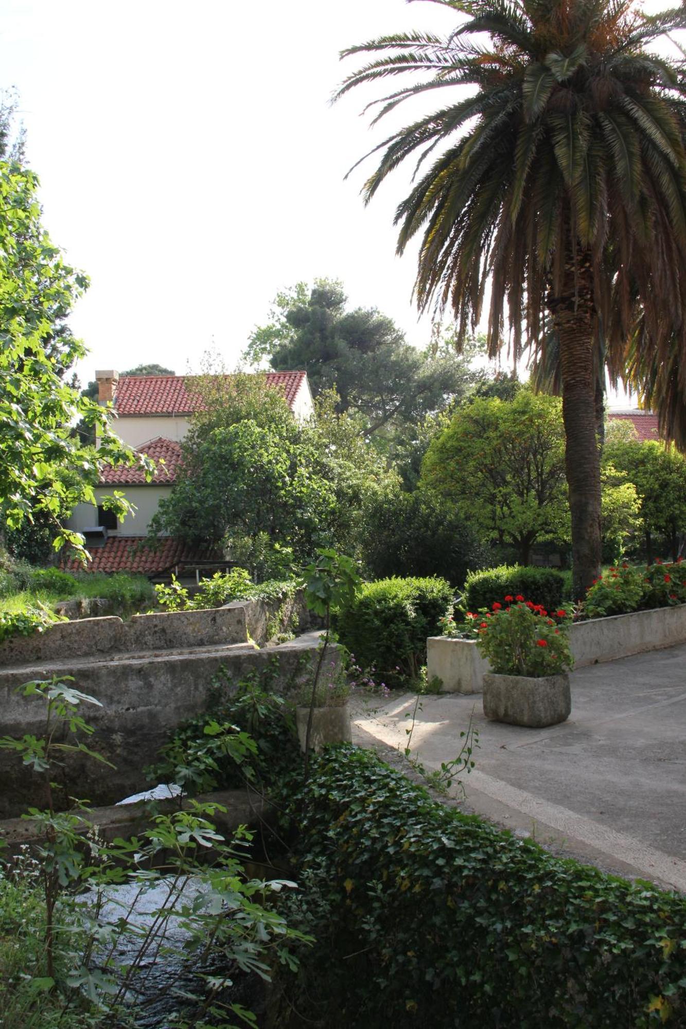 Studio Apartments Andrijana Mlini Εξωτερικό φωτογραφία